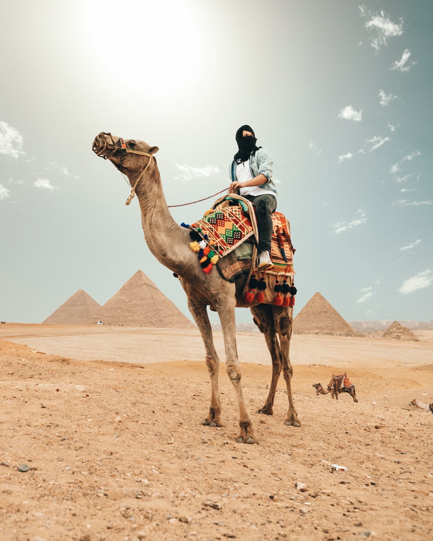 Camel with tourist on back in desert