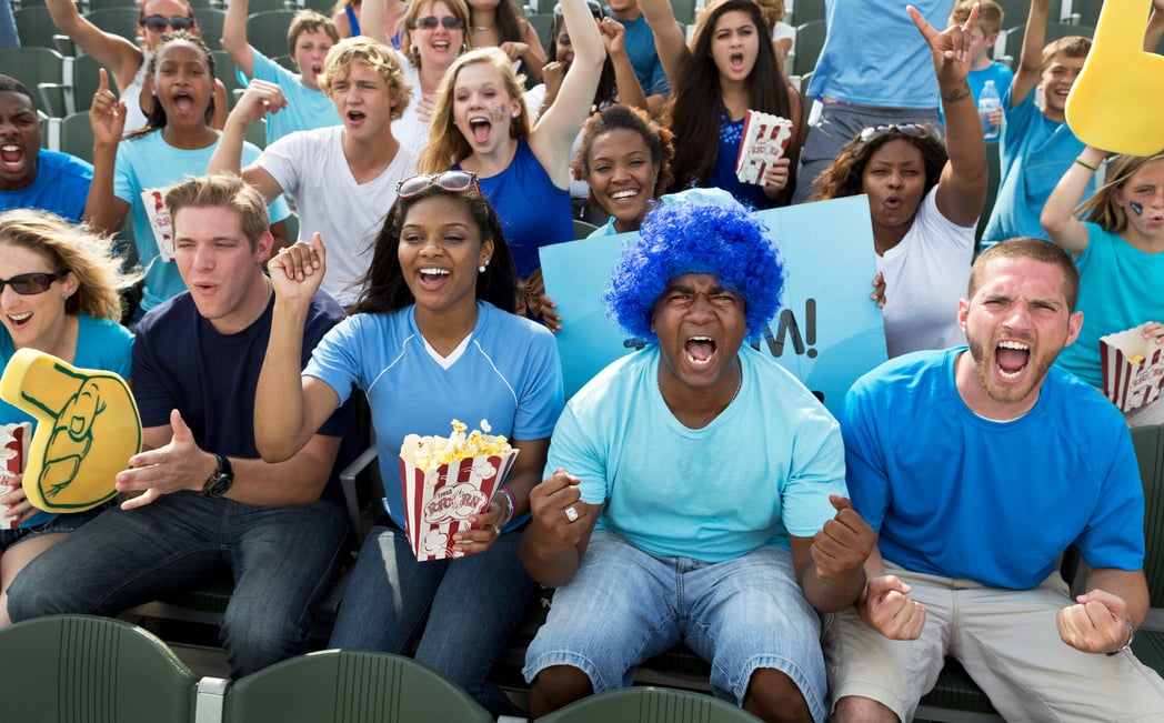 Fans at Sporting Event